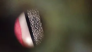 বিকৃত স্বামী হিন্দি  ...