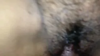 দুষ্টু শ্যামাঙ্গিনী  ...