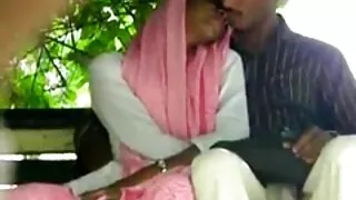 শৃঙ্গাকার অশ্বপালনের ...