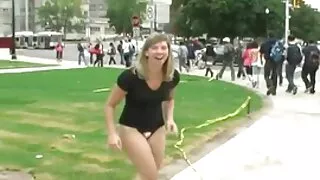 বুটিফাইউল চিক ডেইজি  ...