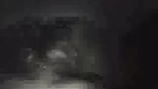 অল্পবয়সী ছোট চুলের  ...