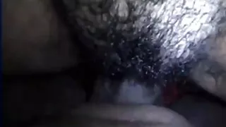 আলাইনা ফক্স ইংলিশ সে ...
