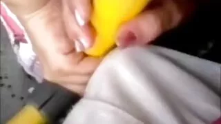ফ্রেজেল স্বর্ণকেশী প ...