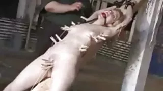 হাঙ্গেরিয়ান বোমশেল  ...