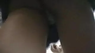 কৌতুকপূর্ণ শ্যামাঙ্গ ...