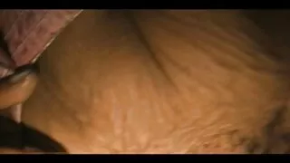 লুটফুল এবং busty পর্ ...