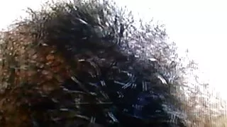 হট জাপানি স্লাট মোমো ...