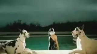 অতৃপ্ত পায়ের পাতার  ...