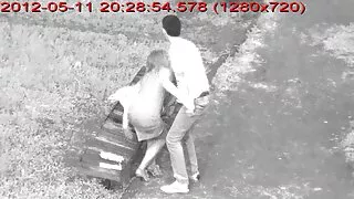 উদগ্রীব কালো কেশিক ছ ...